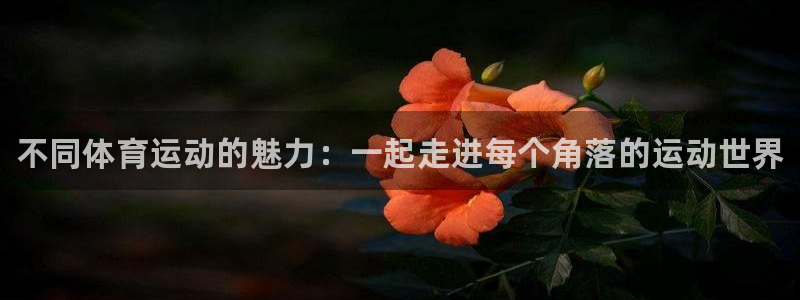 注册JJB竞技宝官方正版app：不同体育运动的魅力：一起走进
