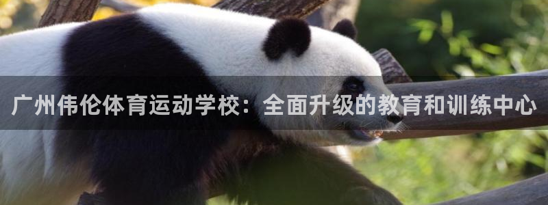 JJB竞技宝官网下载平台注册流程视频：广州伟伦体育运