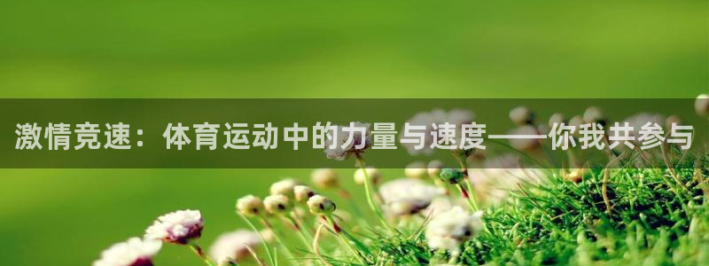 JJB竞技宝官方正版app五金厂：激情竞速：体育运动