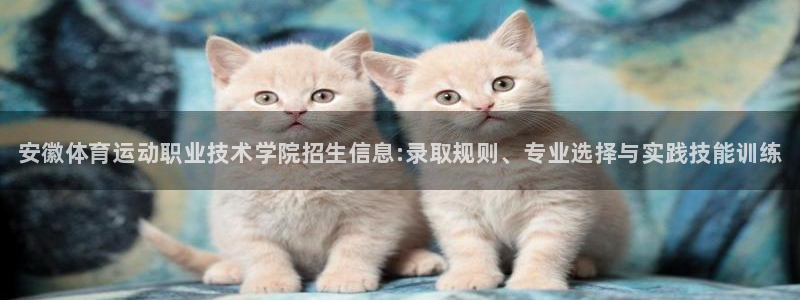 JJB竞技宝官方正版app娱乐：安徽体育运动职业技术学院招生