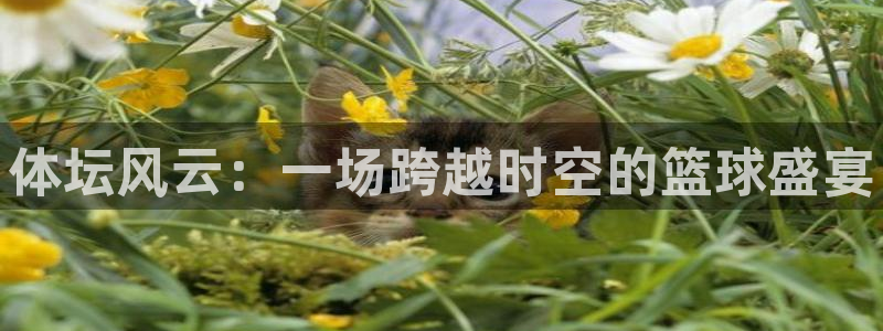 JJB竞技宝官网下载开户：体坛风云：一场跨越时空的篮球盛宴