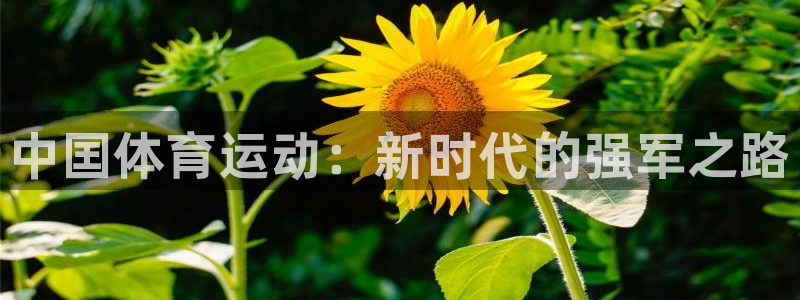 JJB竞技宝官方正版app娱乐首页官网下载