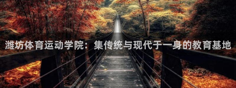 海南JJB竞技宝官网下载：潍坊体育运动学院：集传统与