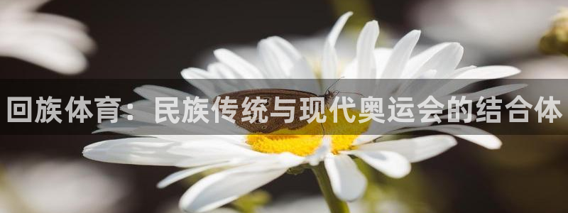 JJB竞技宝官方正版app五金厂