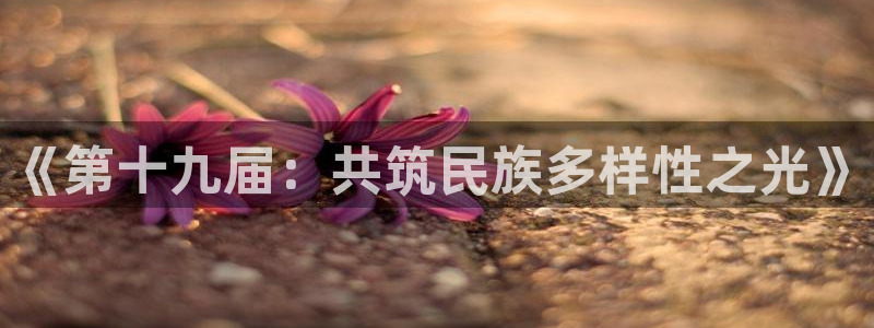 JJB竞技宝官网下载招商电话是多少啊：《第十九届：共