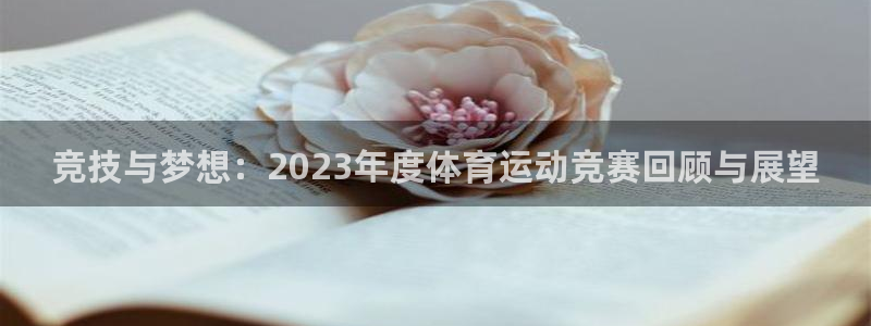 JJB竞技宝官方正版app娱乐是那个系列的台子