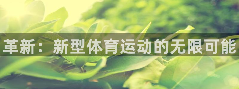 JJB竞技宝官方正版app五金厂：革新：新型体育运动