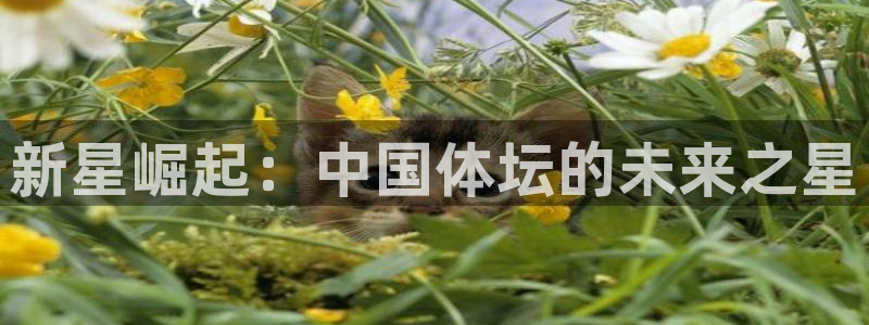 JJB竞技宝官网下载平台是正规平台吗安全吗：新星崛起