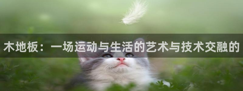 JJB竞技宝官方正版app新能源：木地板：一场运动与生活的艺