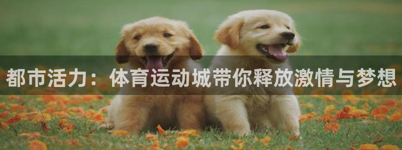 JJB竞技宝官方正版app集团官网首页网址：都市活力：体育运