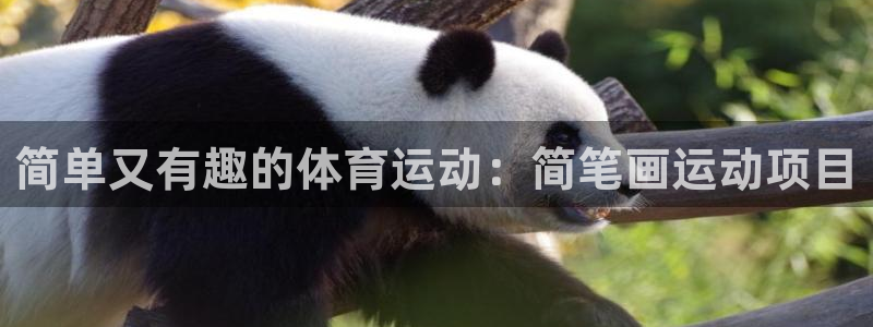 JJB竞技宝官方正版app代理：简单又有趣的体育运动：简笔画