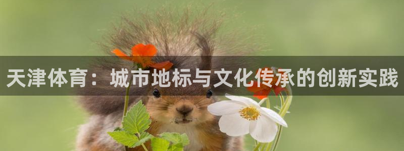 JJB竞技宝官网下载招商电话地址是多少：天津体育：城市地标与