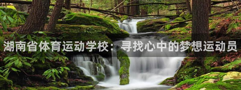 JJB竞技宝官网下载招商电话地址