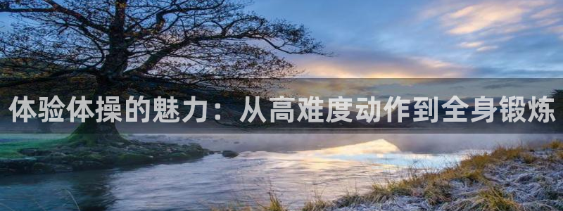 JJB竞技宝官方正版app代理：体验体操的魅力：从高难度动作