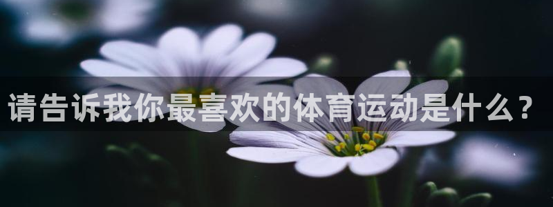 JJB竞技宝官网下载招商电话