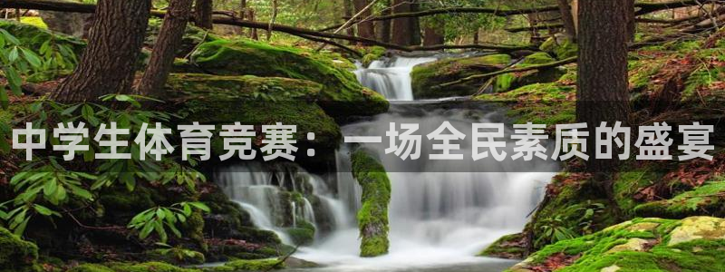 JJB竞技宝官网下载招商电话