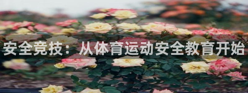 JJB竞技宝官网下载招商电话号码是多少号：安全竞技：从体育运