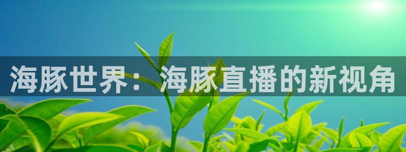 劲爆体育现场直播nba：海豚世界：海豚直播的新视角