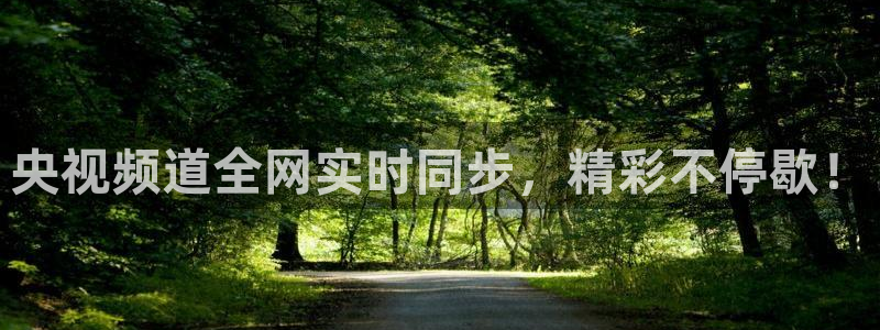 劲爆体育超清在线直播观看：央视频道全网实时同步，精彩不停歇！