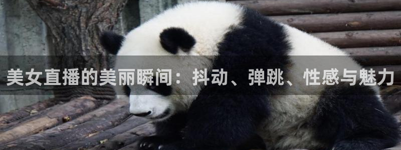 劲爆体育高清直播回看：美女直播的美丽瞬间：抖动、弹跳、性感与魅力
