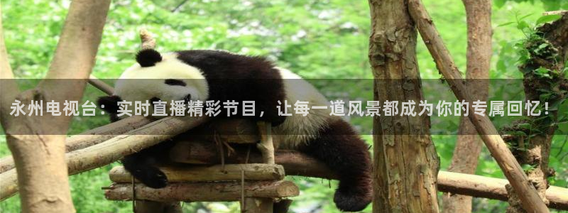 广东劲爆体育在线直播：永州电视台：实时直播精彩节目，让每一道风景都成为你的专属回忆！