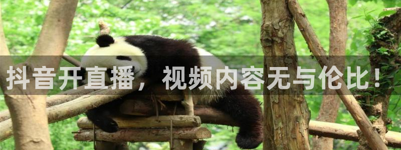 劲爆体育nba直播视频：抖音开直播，视频内容无与伦比！