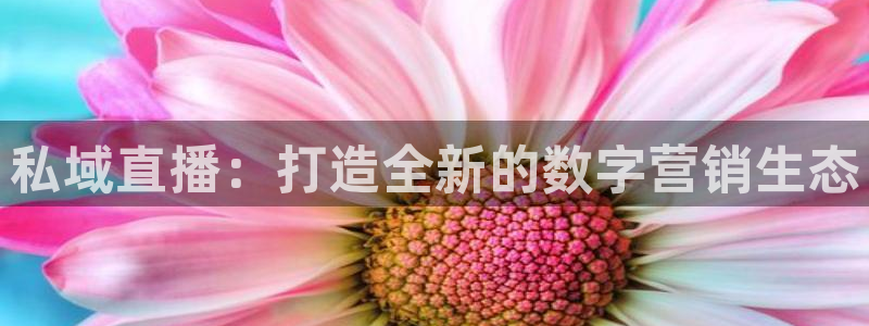 劲爆体育直播在线观看斗地主：私域直播：打造全新的数字营销生态