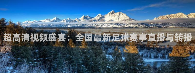 上海劲爆体育在线直播：超高清视频盛宴：全国最新足球赛事直播与转播