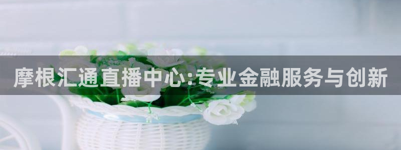上海劲爆体育频道直播：摩根汇通直播中心:专业金融服务与创新