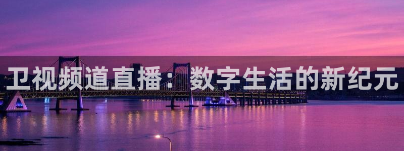 劲爆体育免费观看：卫视频道直播：数字生活的新纪元